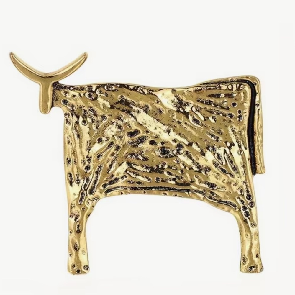 Gold Tone Textured Texas Longhorn Brooch Unique! NWT